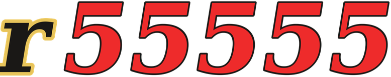 r55555 logo